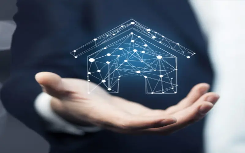 real estate advisory